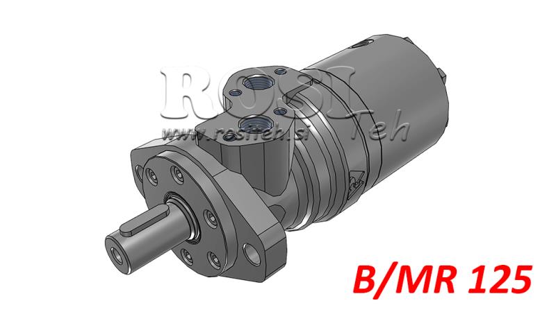 HYDRAULIC MOTOR B/MR 125 - WITH BRAKE