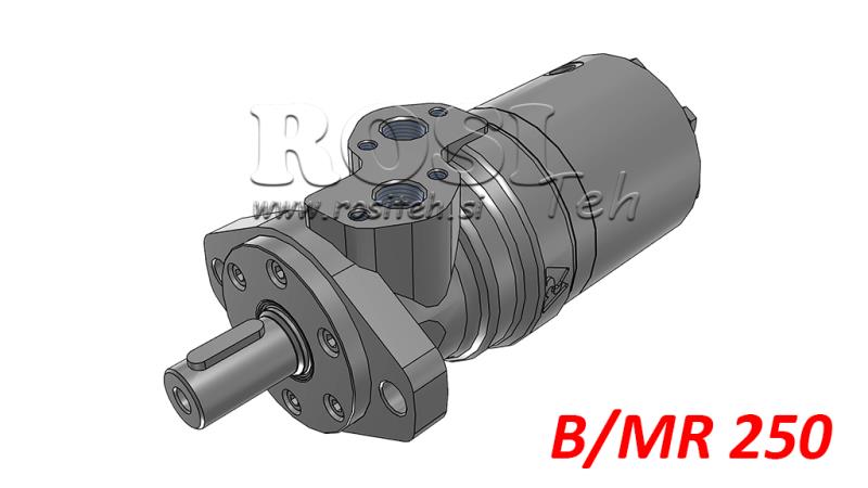 HYDRAULIC MOTOR B/MR 250 - WITH BRAKE