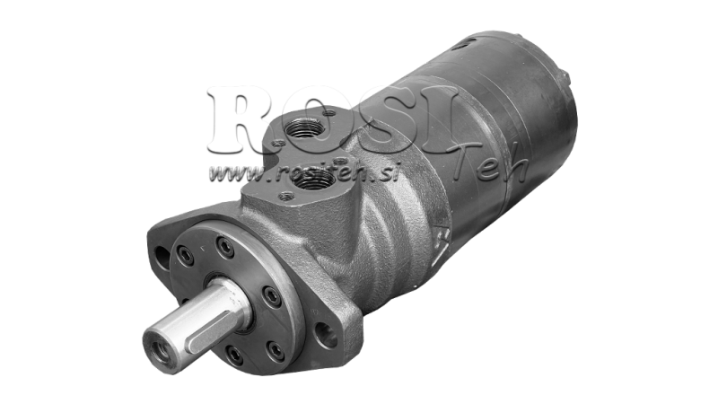 HYDRAULIC MOTOR B/MR 315 - WITH BRAKE