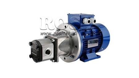 GRUPO DE MONTAGEM DA BOMBA HIDRÁULICA 2 16 ccm MOTOR ELÉTRICO 3-fases - 5.5 KW (fluxo = 23 litros/min)